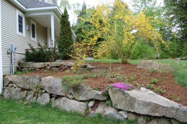 50% garden habits budget-- thethreeyearexperiment.com