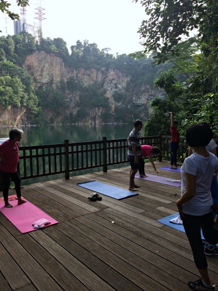 Bukit Timah park yoga--www.thethreeyearexperiment.com
