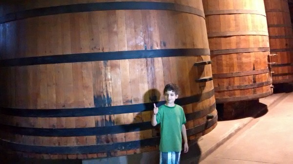 wine barrels--www.thethreeyearexperiment.com