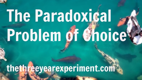 Choice--www.thethreeyearexperiment.com