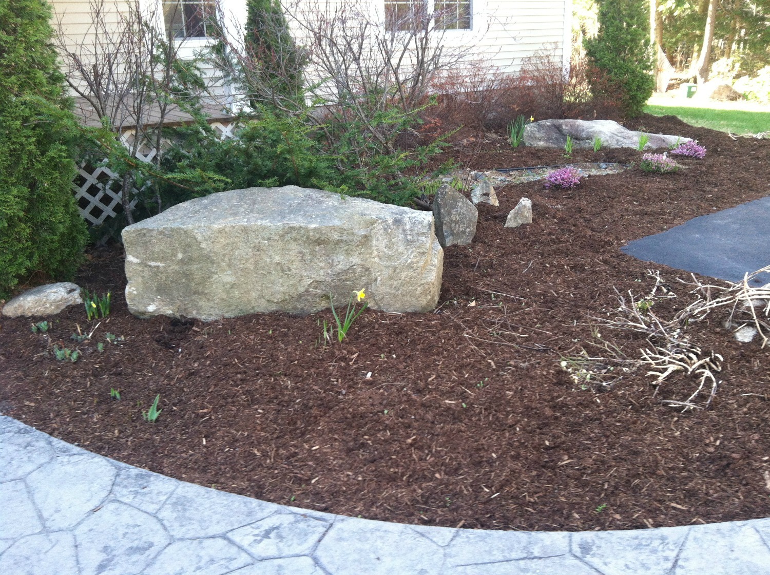 Bark mulch--www.thethreeyearexperiment.com