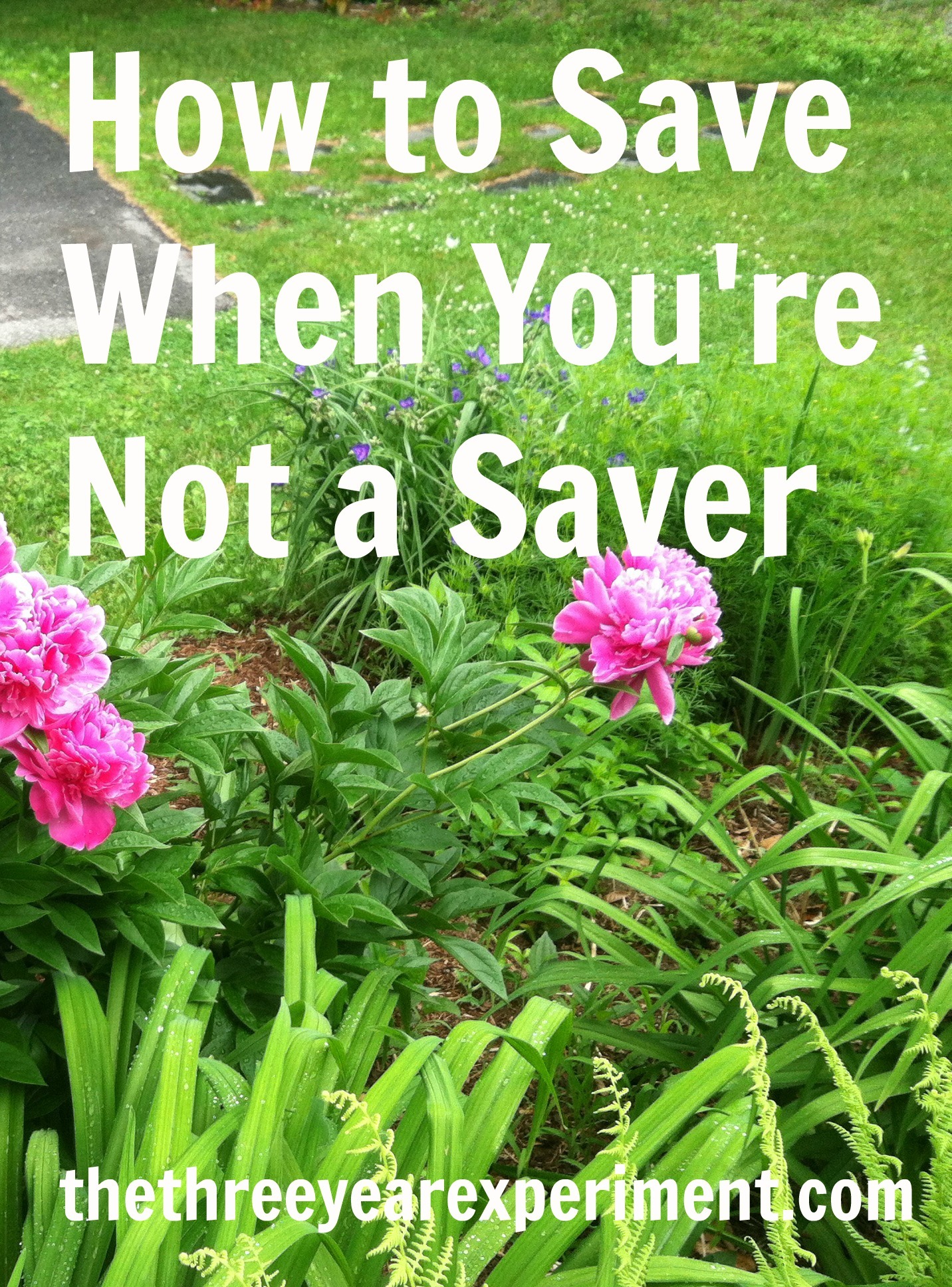 How to Save When You're Not a Saver-www.thethreeyearexperiment.com
