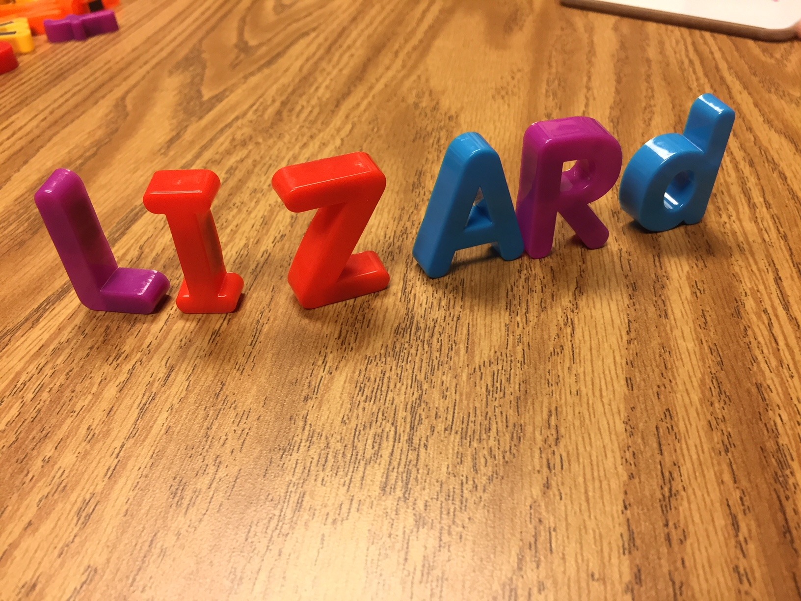 Lizard---www.thethreeyearexperiment.com