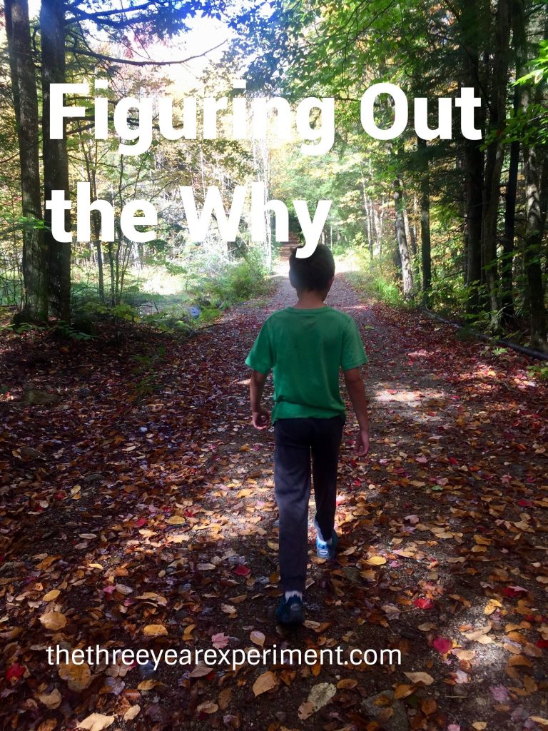 Boy walking in fall woods Figuring out the why www.thethreeyearexperiment.com