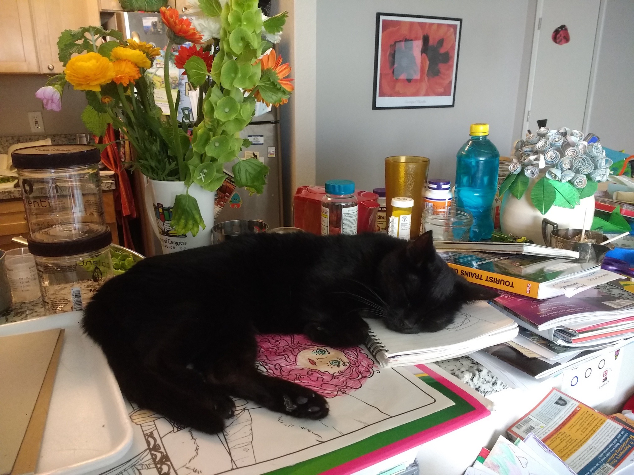 cat www.thethreeyearexperiment.com