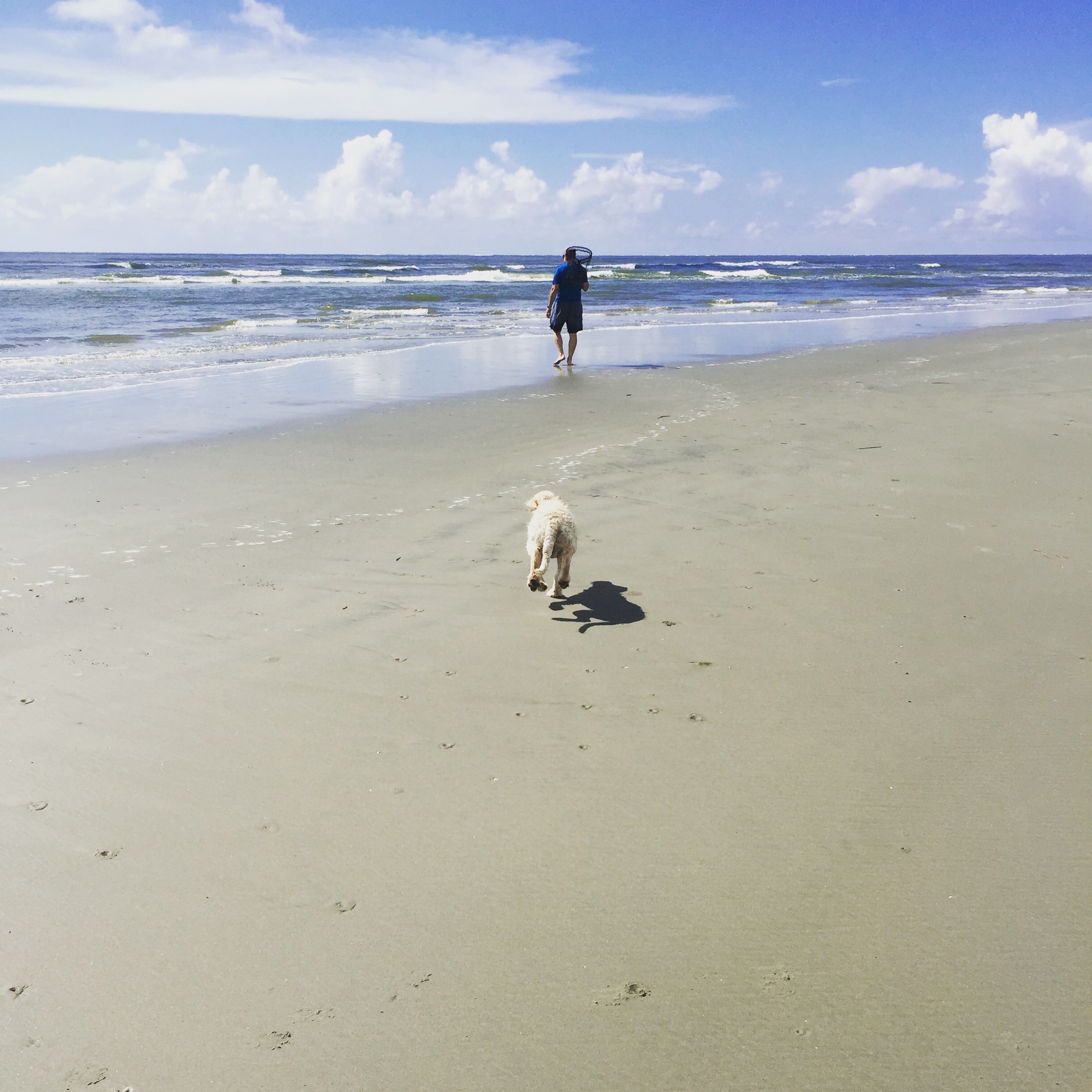 Beach with dog www.thethreeyearexperiment.com