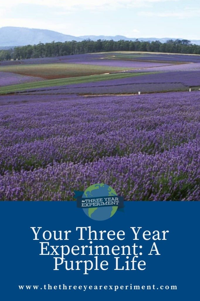How do you travel, live well, and still save up enough to retire by 30? A Purple Life is doing just that! Here's her story. @lauriethreeyear #geoarbitrage #FIRE #travelhacking #earlyretirement #frugalliving #carfree