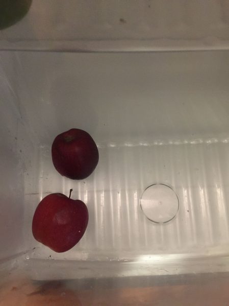 apples in a bare fridge